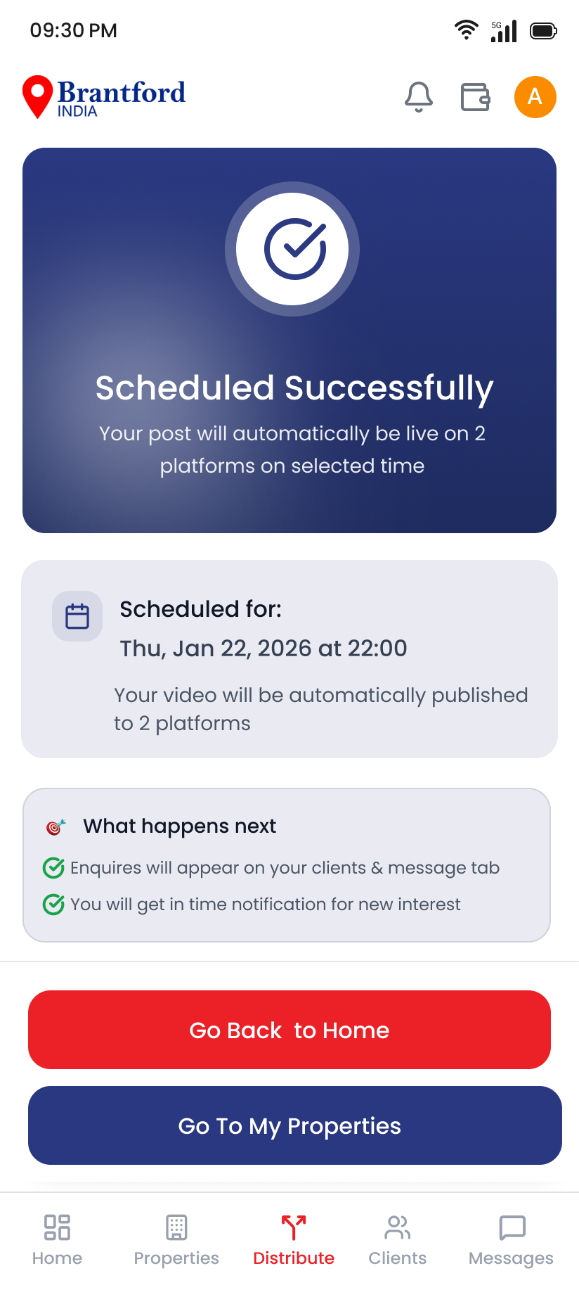 The Solution — mobile 7